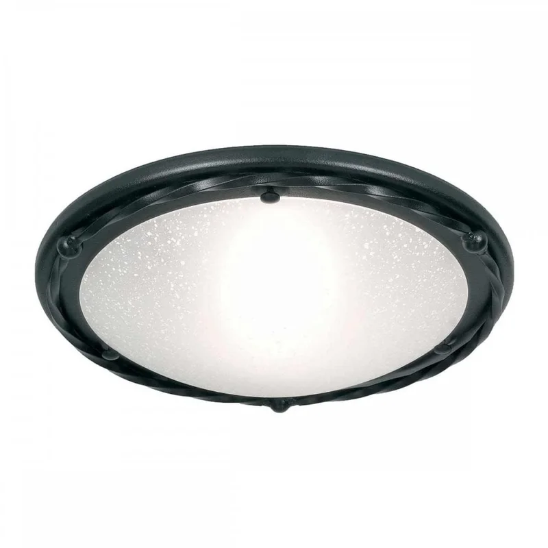 cplights116194