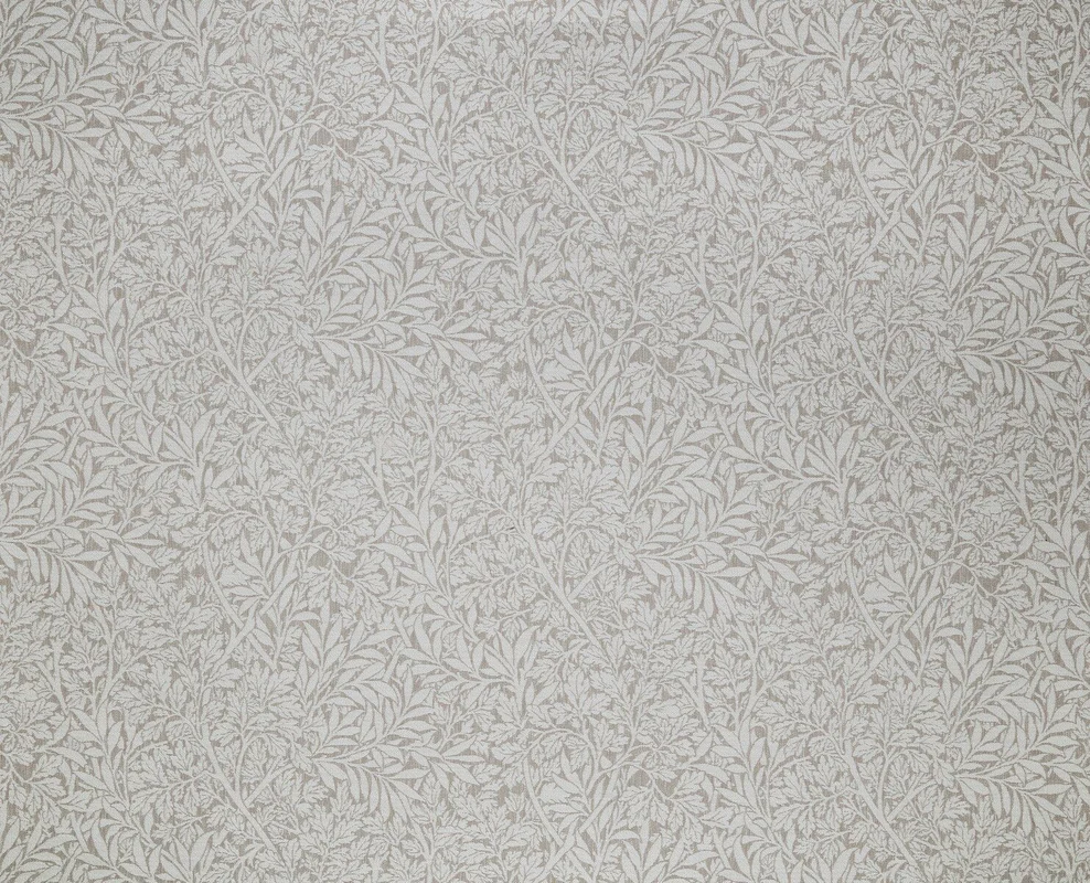 thelightcompany102973