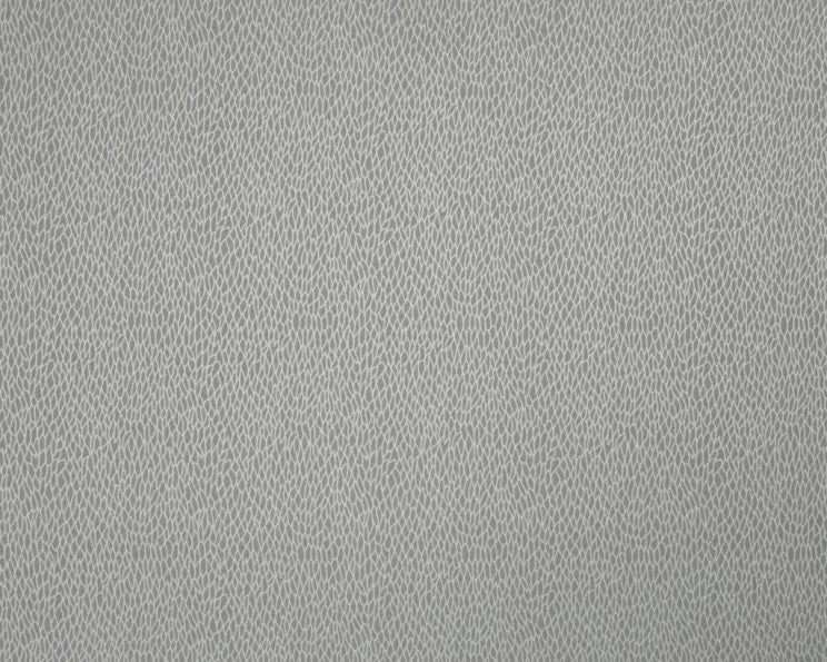 thelightcompany105204