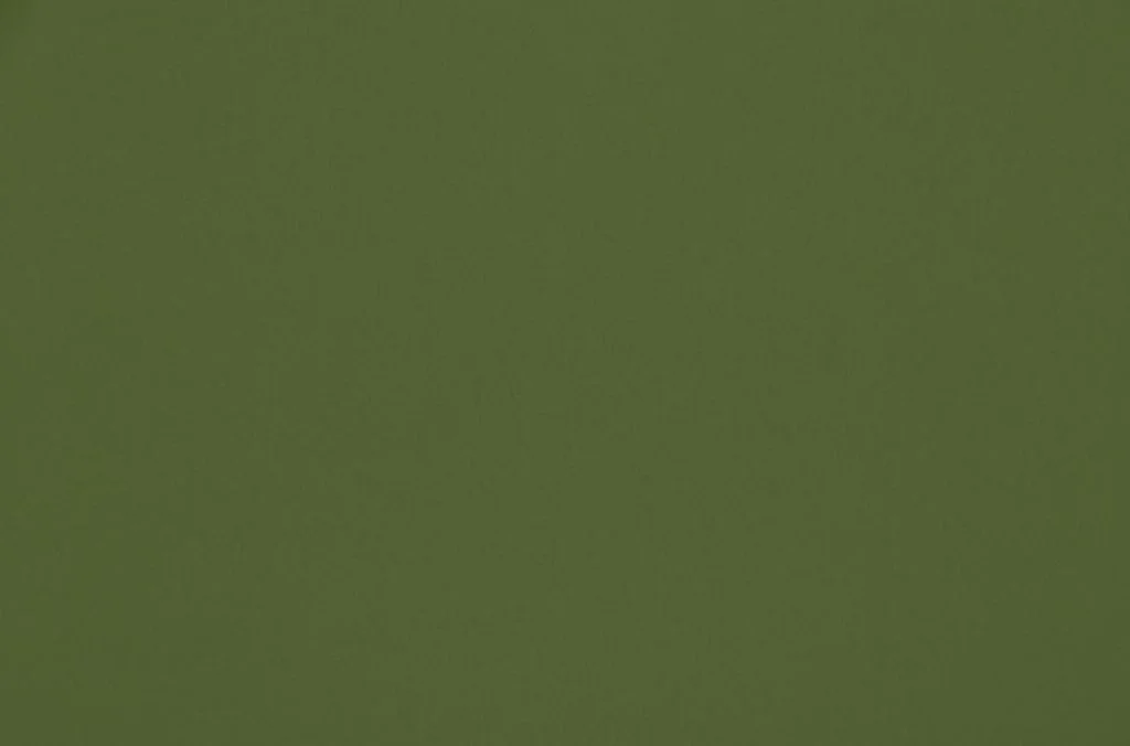 thelightcompany106645