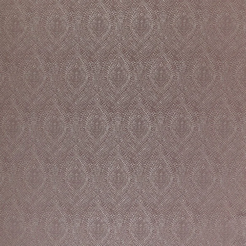 thelightcompany111184