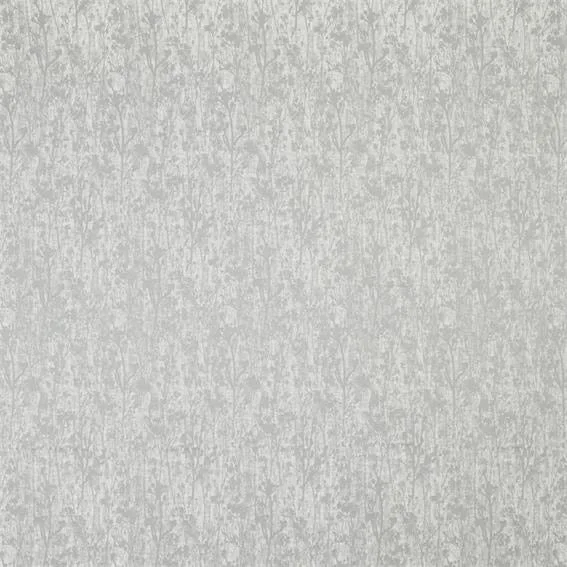 thelightcompany112575