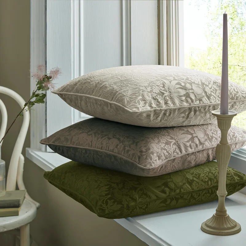 thelightcompany67971